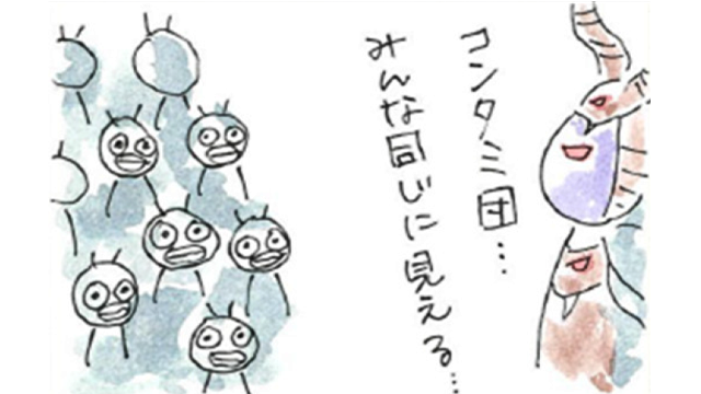 第7話「個性」